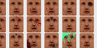 facewounds addon